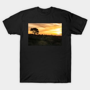 Golden sunset across Papamoa dunes T-Shirt